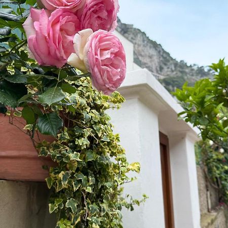 Il Cigno B&B กาปรี ภายนอก รูปภาพ