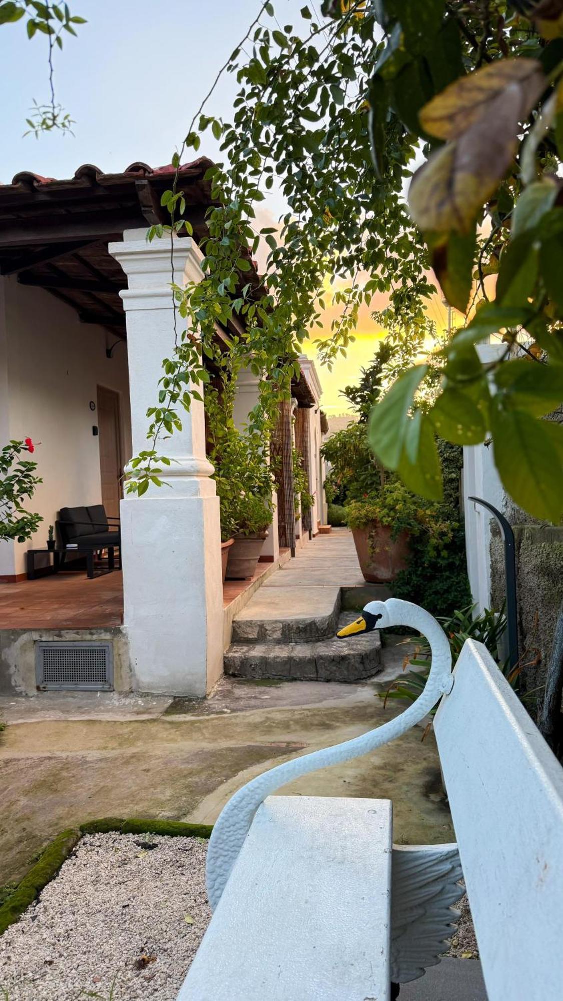 Il Cigno B&B กาปรี ภายนอก รูปภาพ