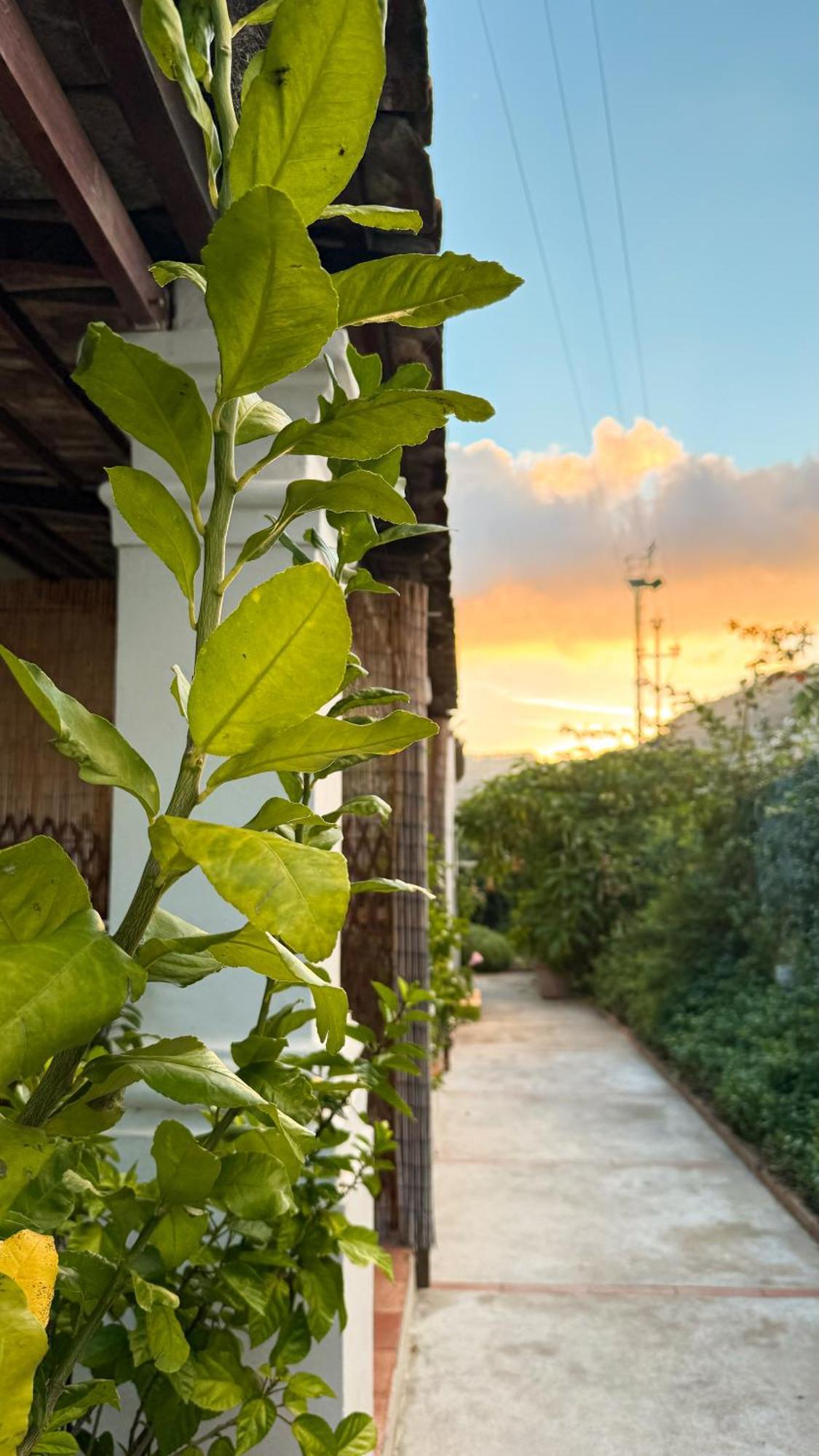 Il Cigno B&B กาปรี ภายนอก รูปภาพ