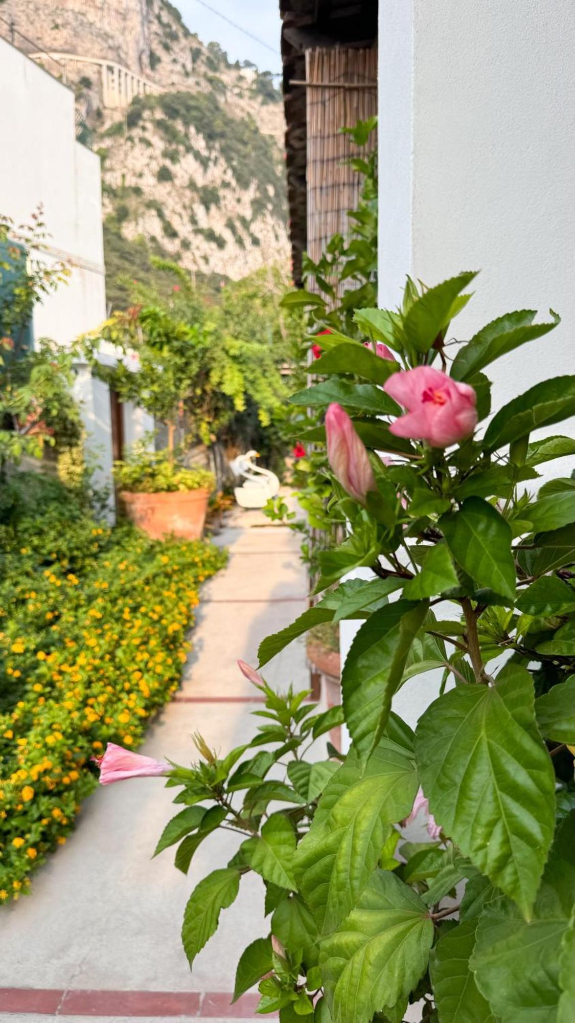 Il Cigno B&B กาปรี ภายนอก รูปภาพ