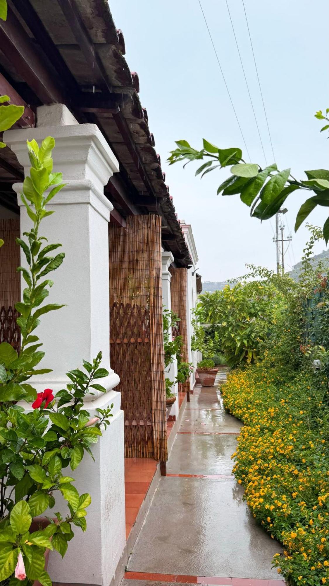 Il Cigno B&B กาปรี ภายนอก รูปภาพ