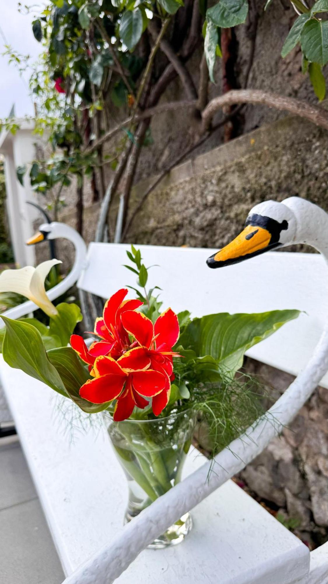 Il Cigno B&B กาปรี ภายนอก รูปภาพ