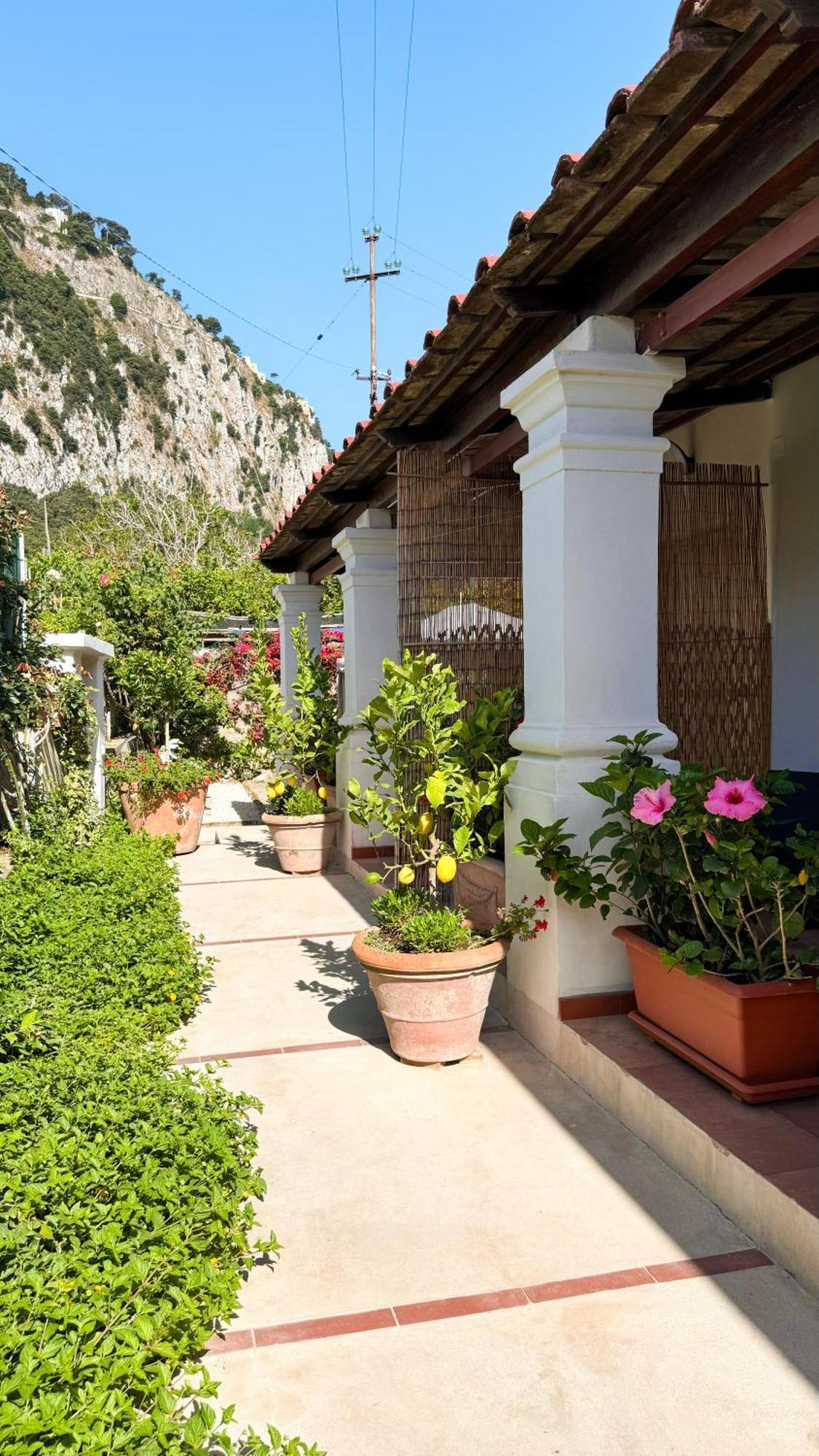 Il Cigno B&B กาปรี ภายนอก รูปภาพ