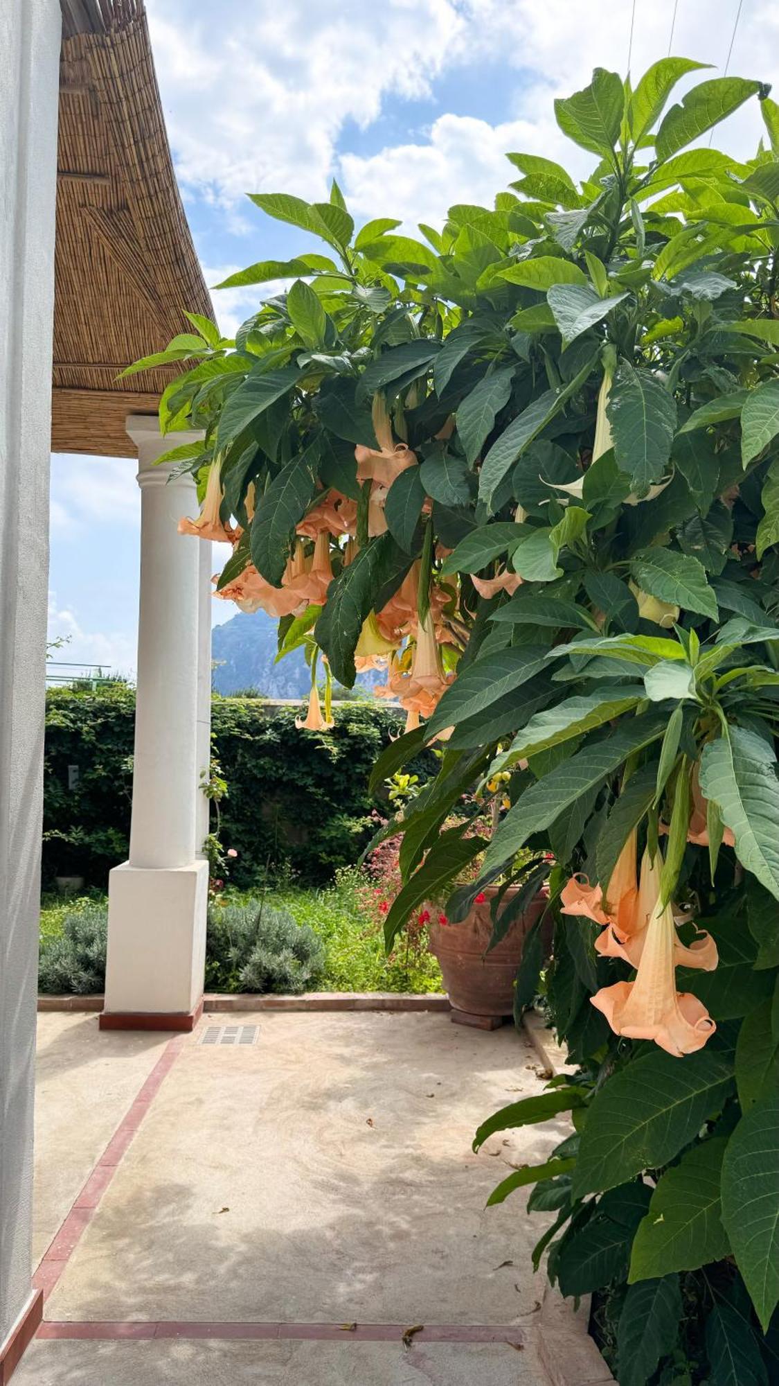 Il Cigno B&B กาปรี ภายนอก รูปภาพ