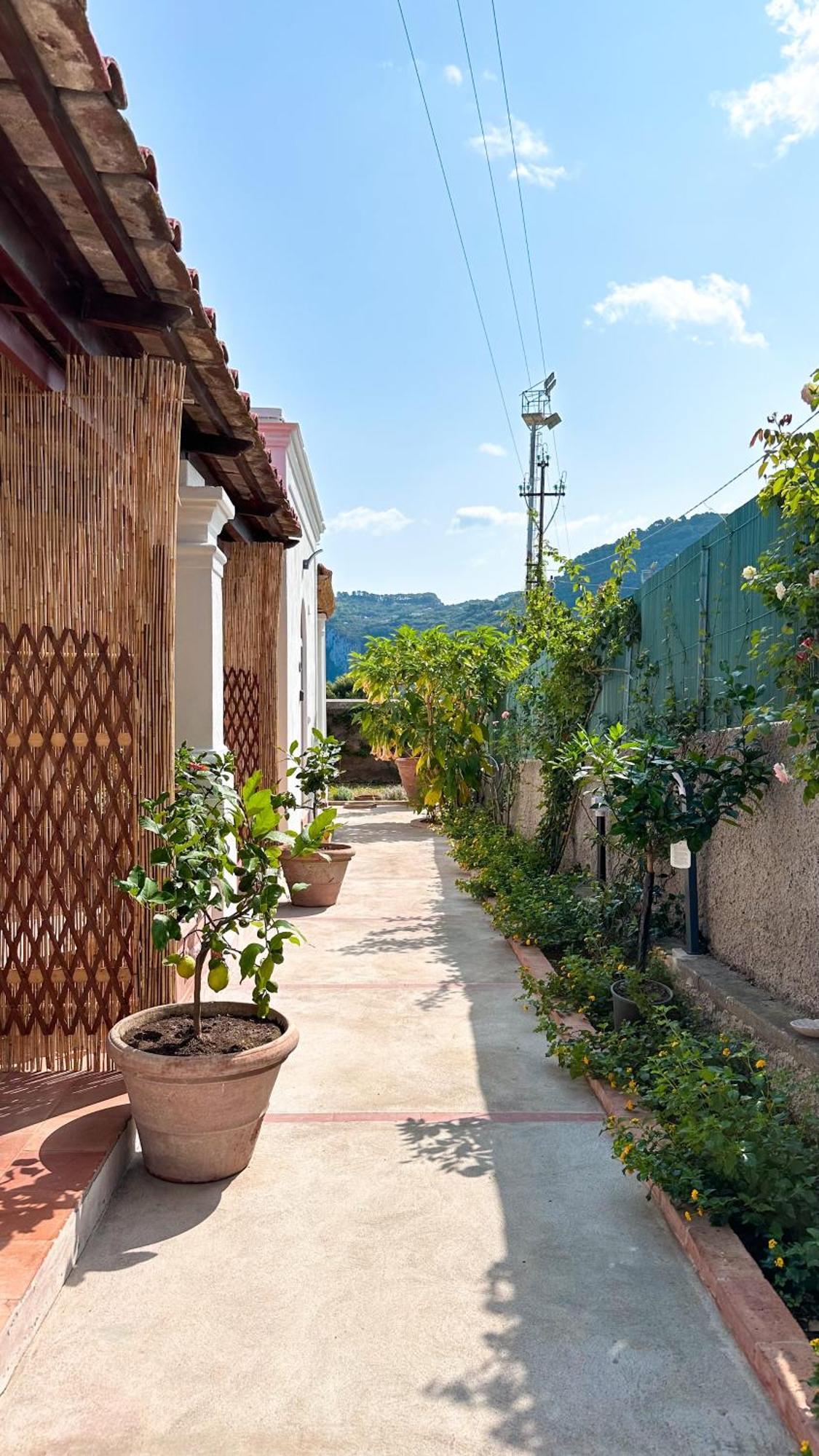 Il Cigno B&B กาปรี ภายนอก รูปภาพ